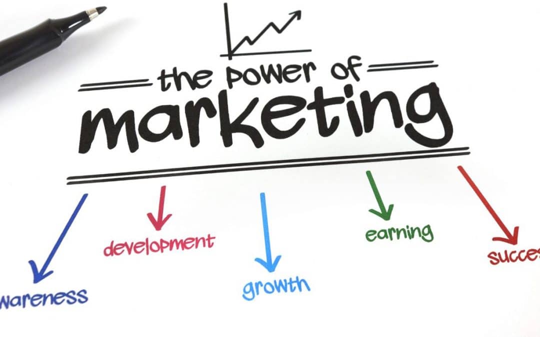 What Is Organic Growth In Marketing? – Bark Street Digital Advises
