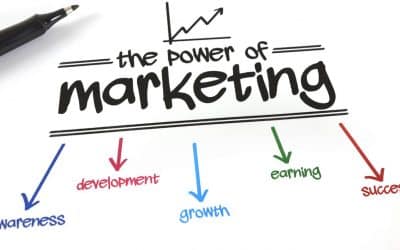 What Is Organic Growth In Marketing? – Bark Street Digital Advises