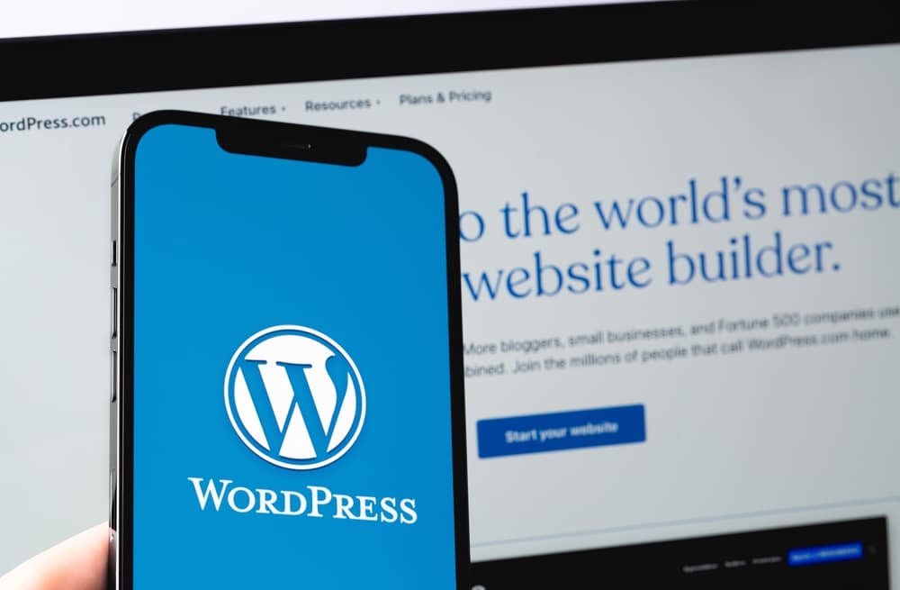 wordpress web design bolton